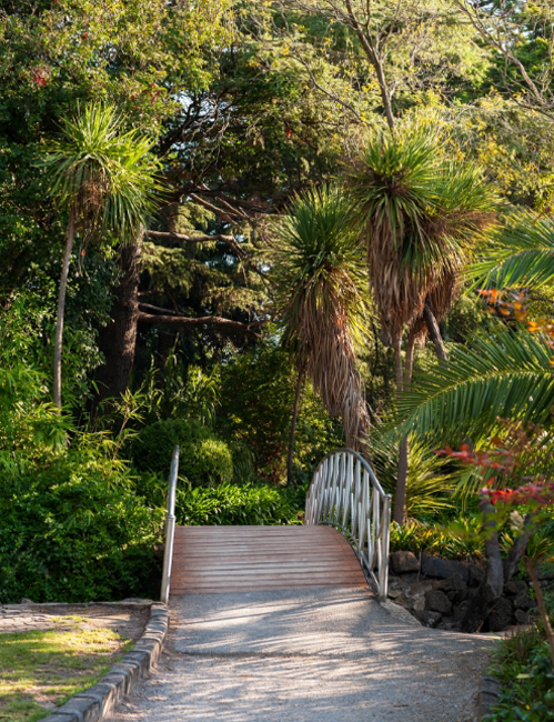 Hedgeley Dene Gardens