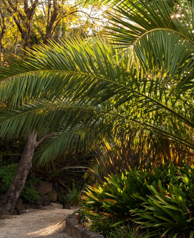 Hedgeley Dene Gardens